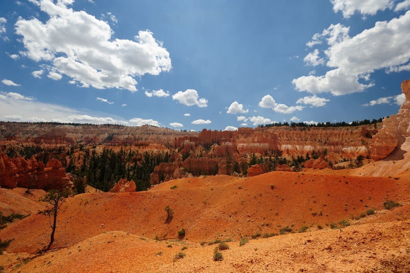 Bryce Canyon-Viaggi-5.JPG